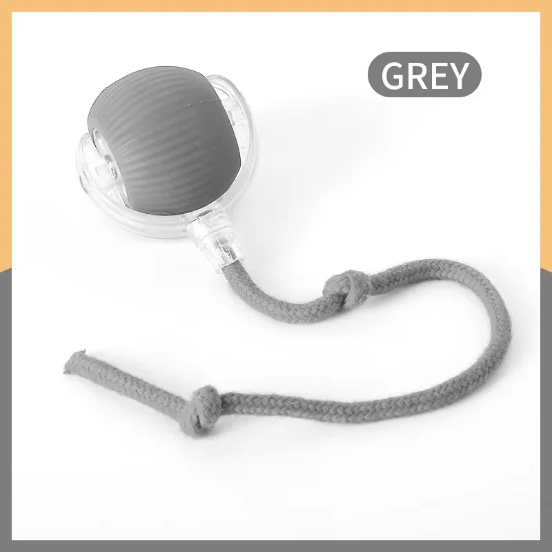 Rolling Ball Cat Toy