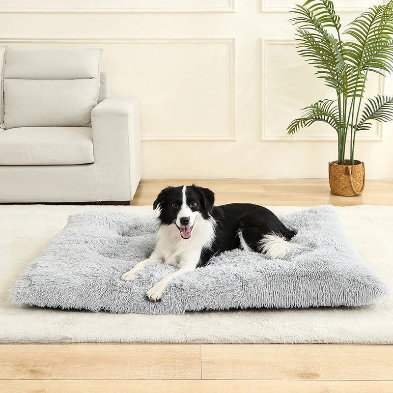 Plush Pillow Pet Bed