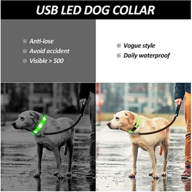 Glowing Safety Dog Collar