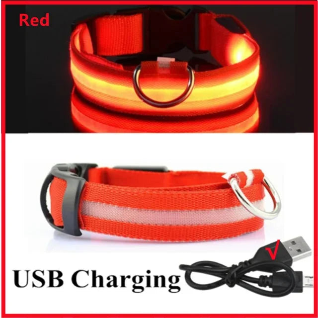 Glowing Safety Dog Collar