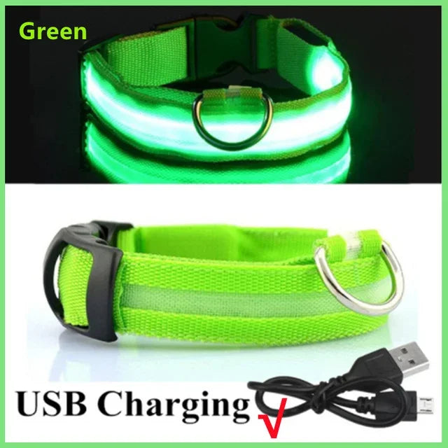 Glowing Safety Dog Collar