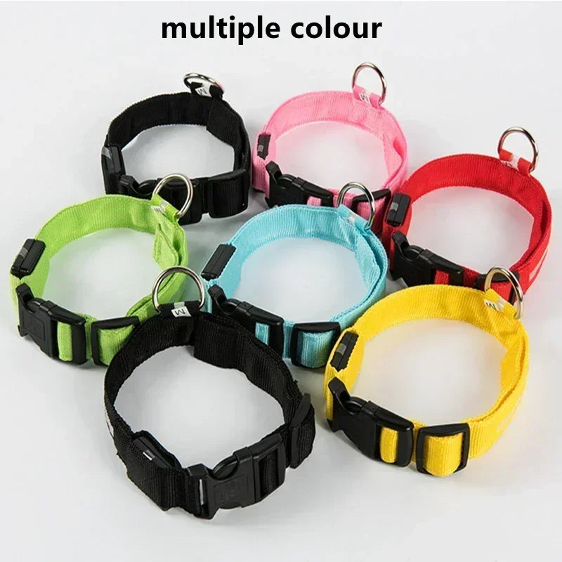 Glowing Safety Dog Collar