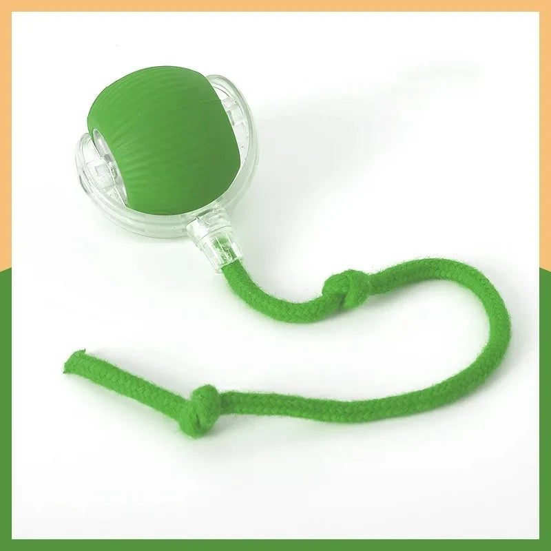 Rolling Ball Cat Toy