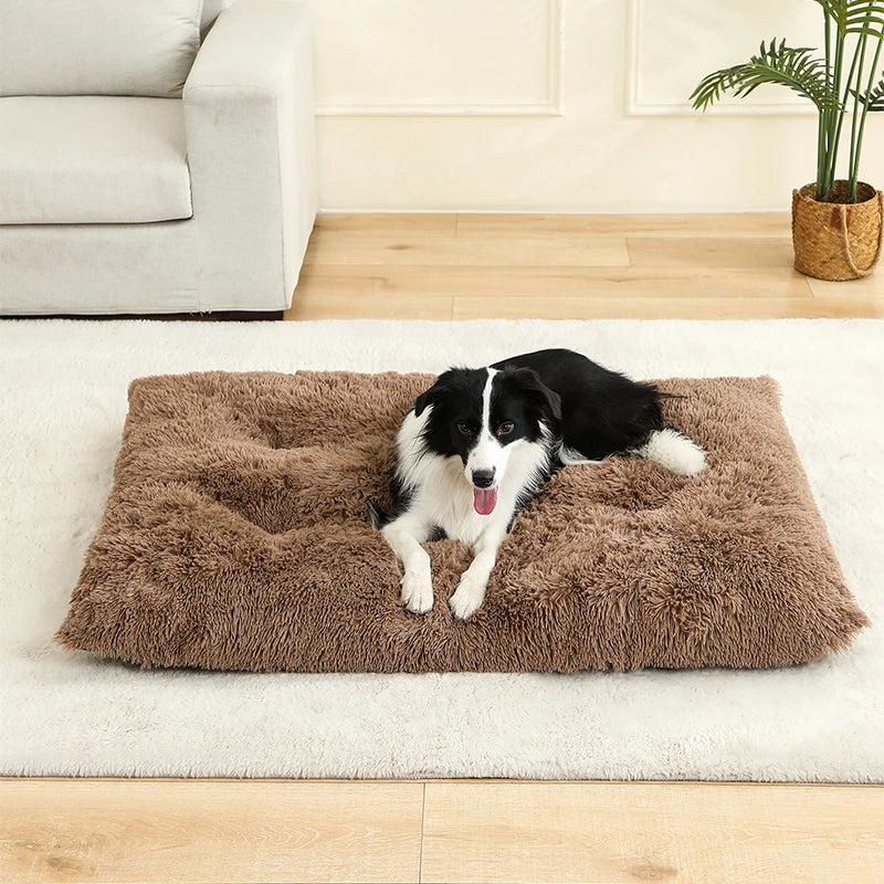 Plush Pillow Pet Bed