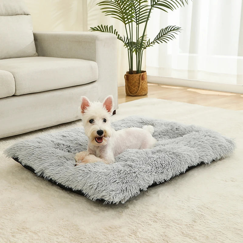 Plush Pillow Pet Bed