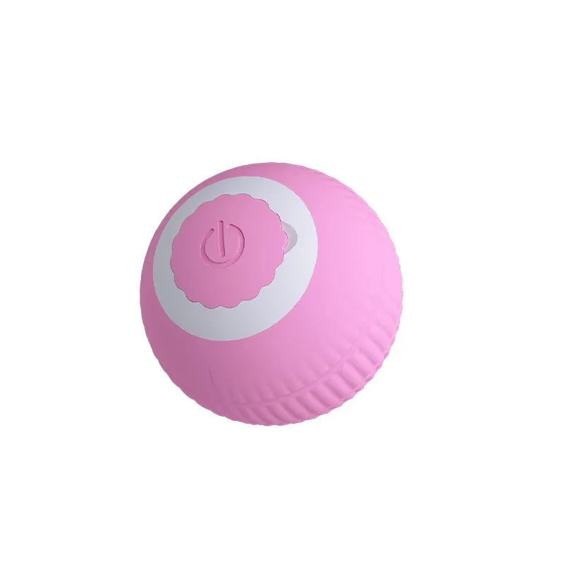 Interactive Ball Cat Toy
