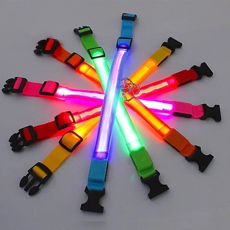 Glowing Safety Dog Collar