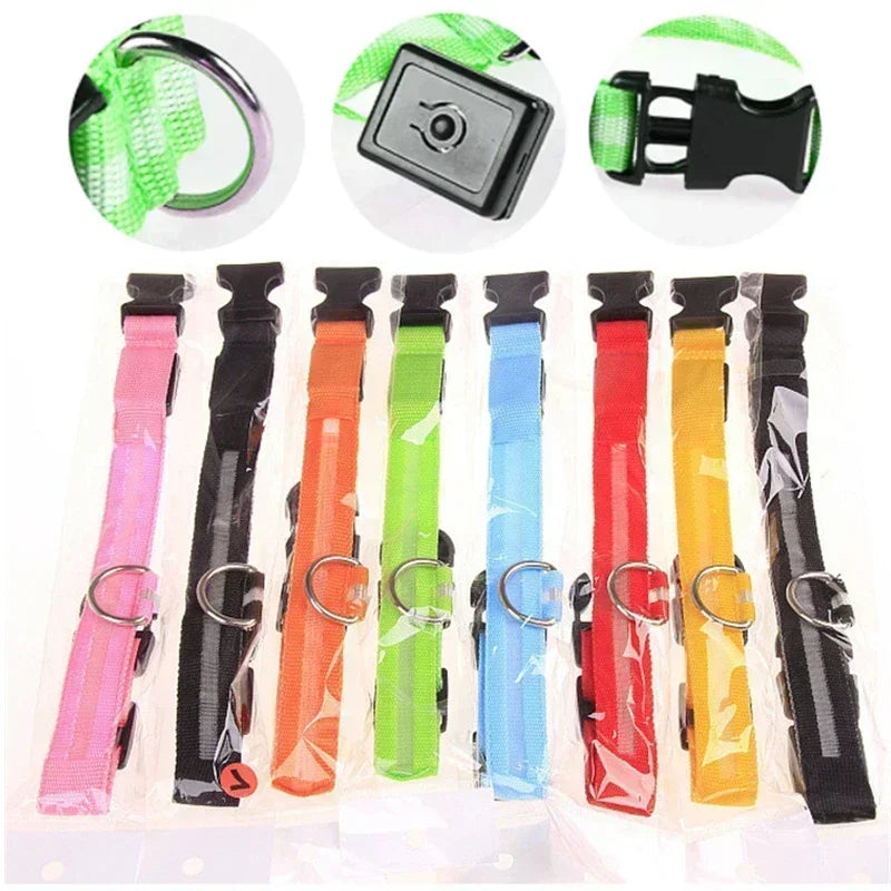 Glowing Safety Dog Collar