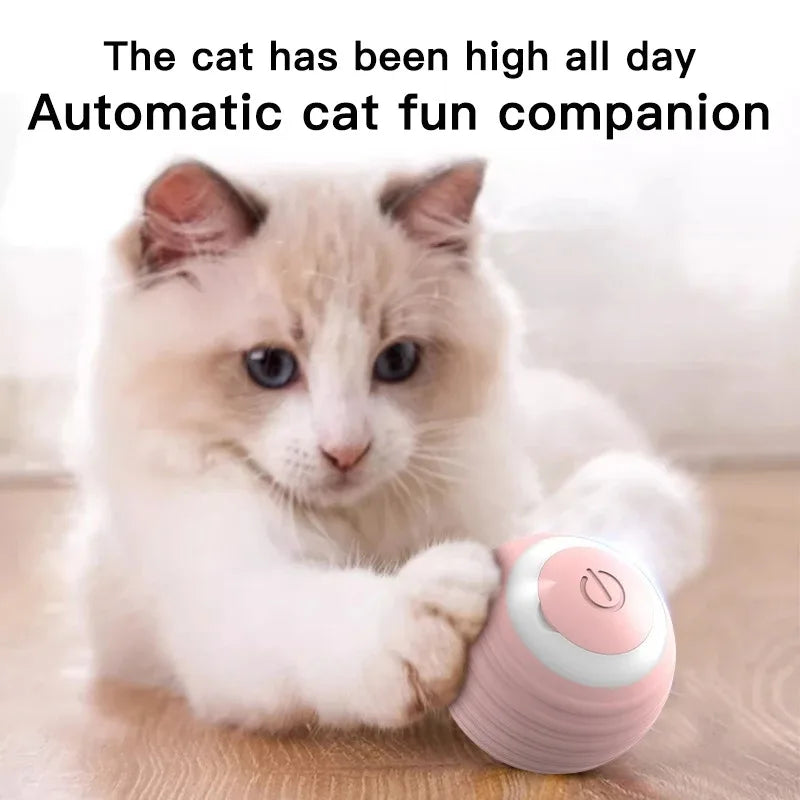 Interactive Ball Cat Toy