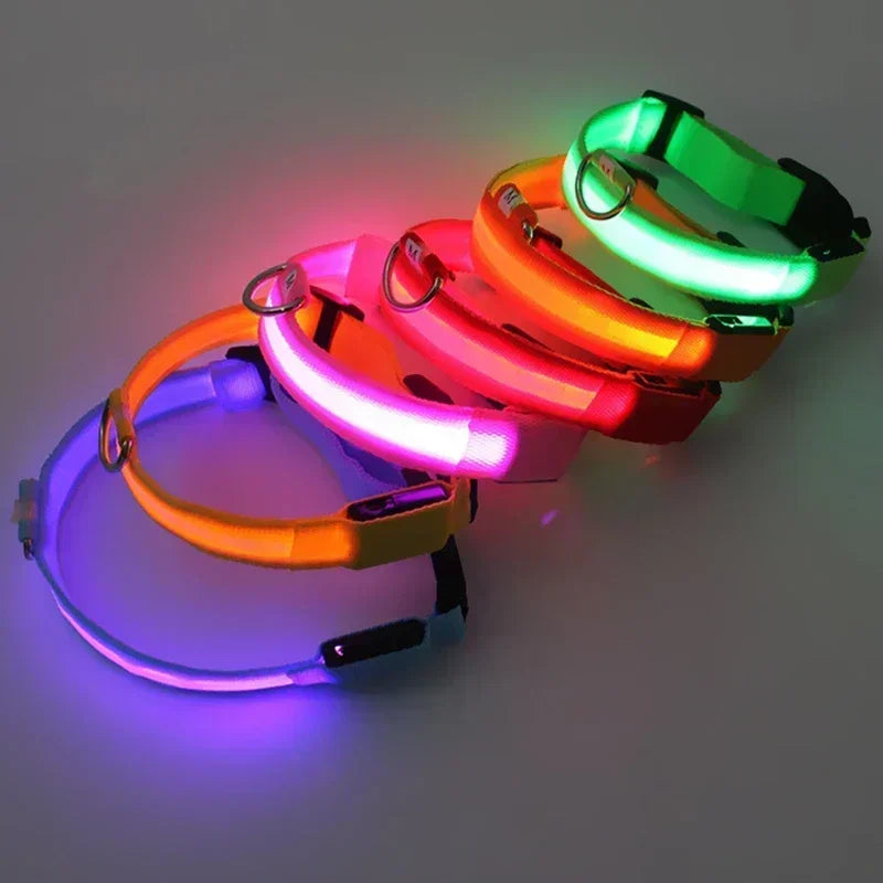 Glowing Safety Dog Collar
