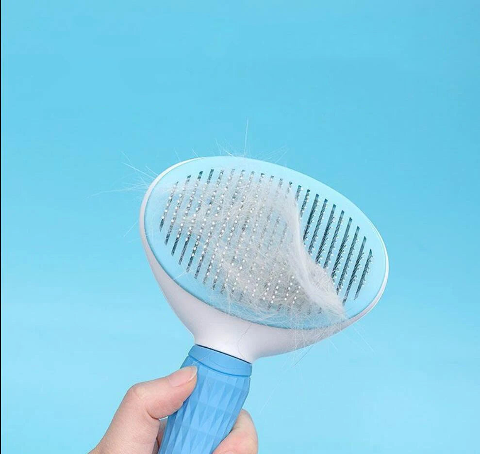 Stainless Steel Pet Brush