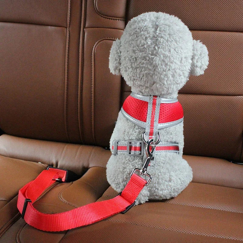 Safe Travel Dog Seat Belt