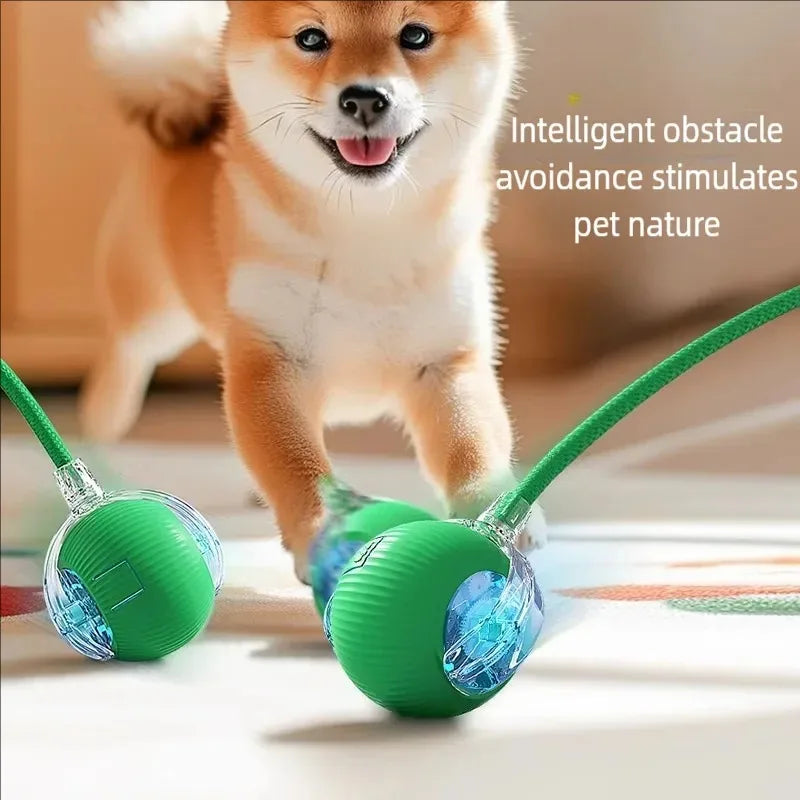 Rolling Ball Cat Toy