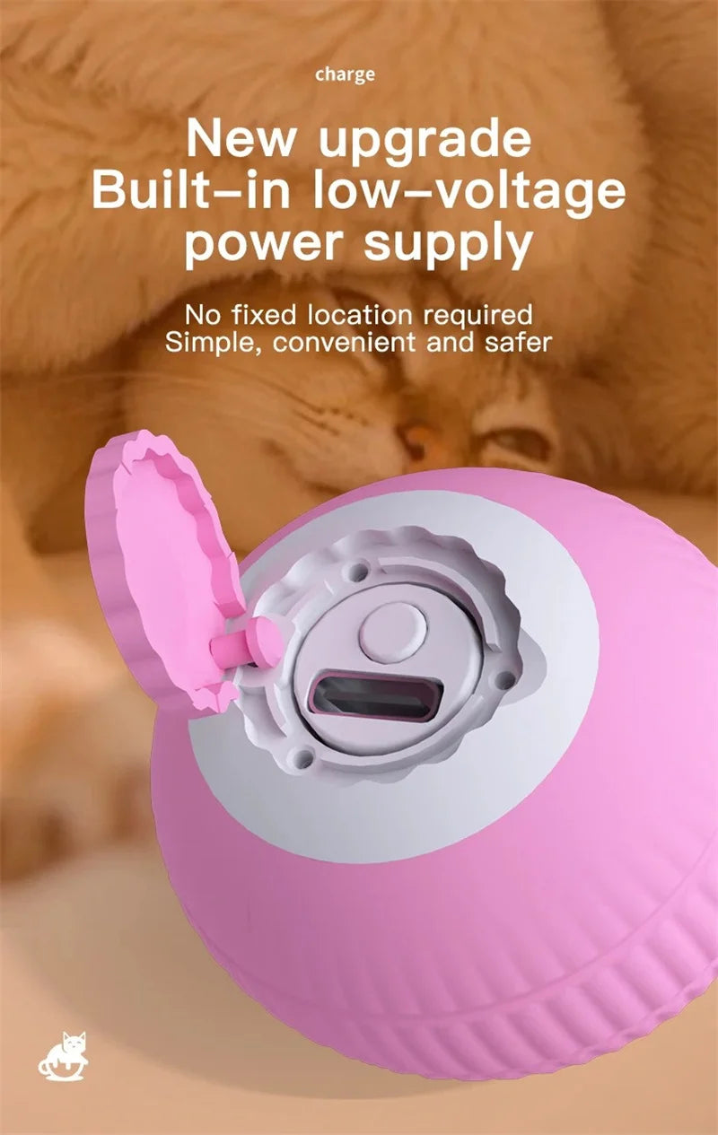 Interactive Ball Cat Toy