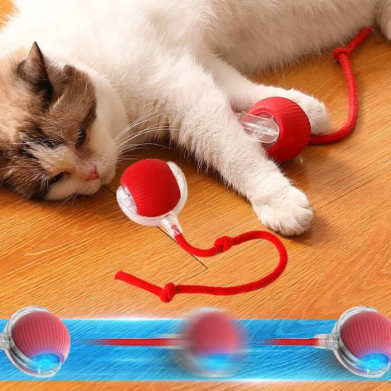 Rolling Ball Cat Toy