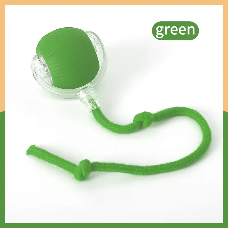 Rolling Ball Cat Toy