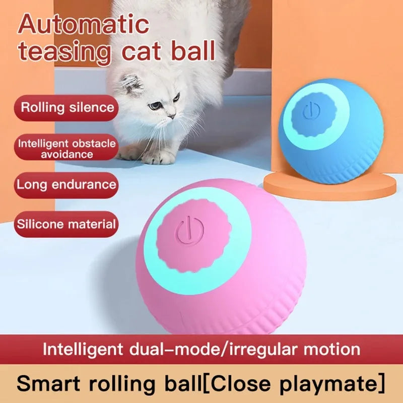 Interactive Ball Cat Toy