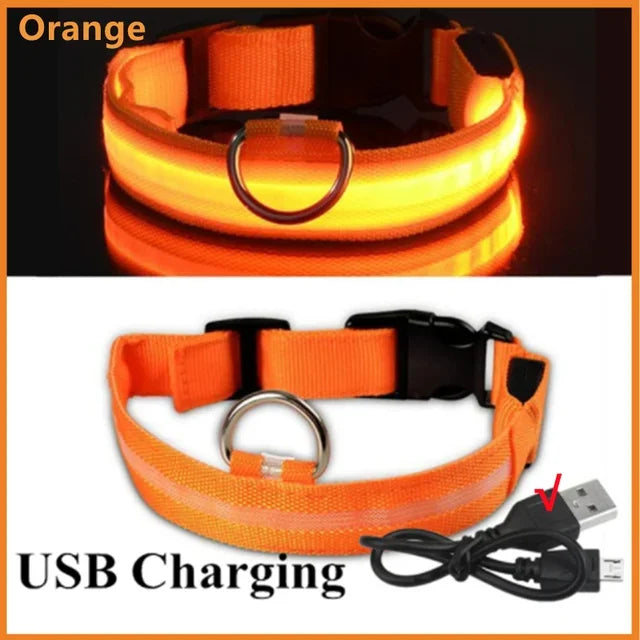 Glowing Safety Dog Collar