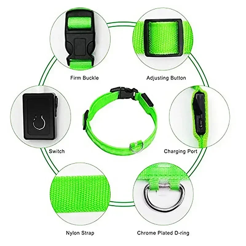 Glowing Safety Dog Collar