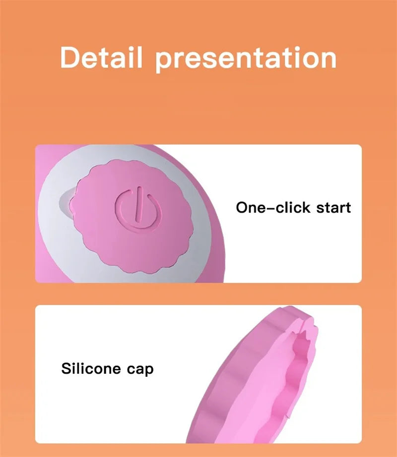 Interactive Ball Cat Toy