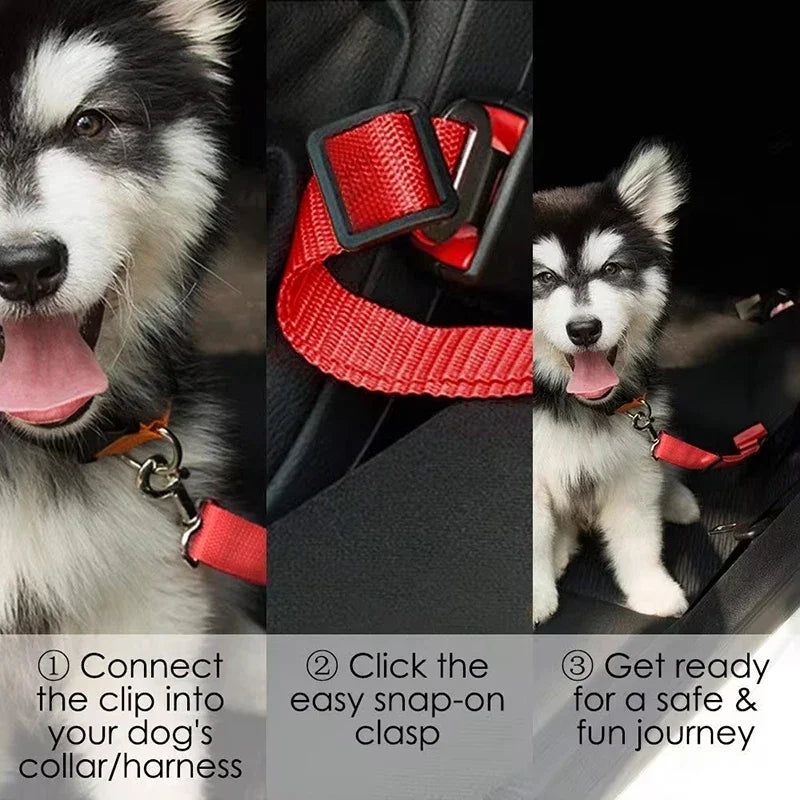 Safe Travel Dog Seat Belt