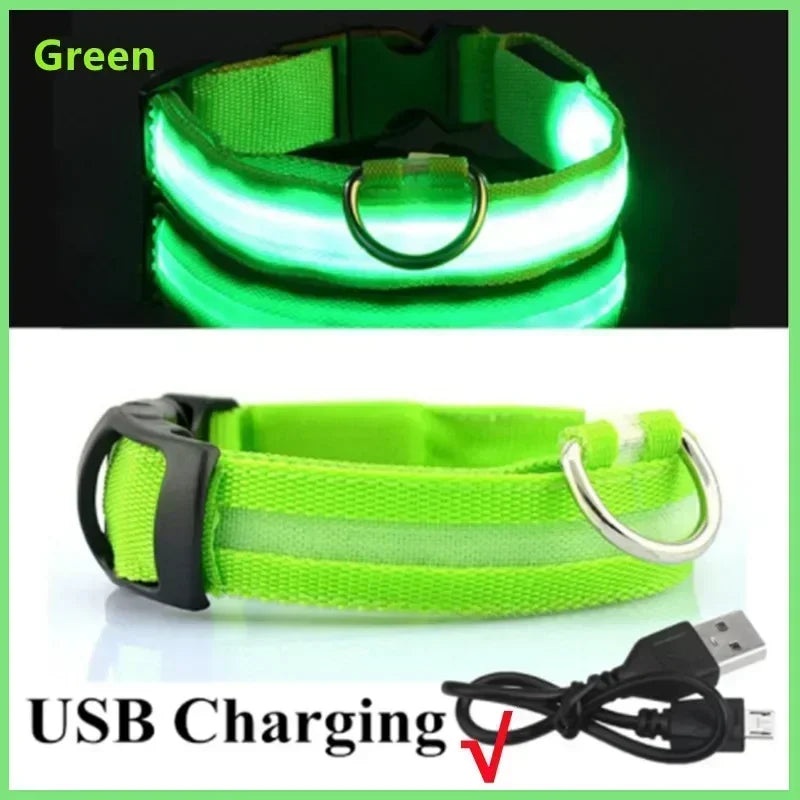 Glowing Safety Dog Collar