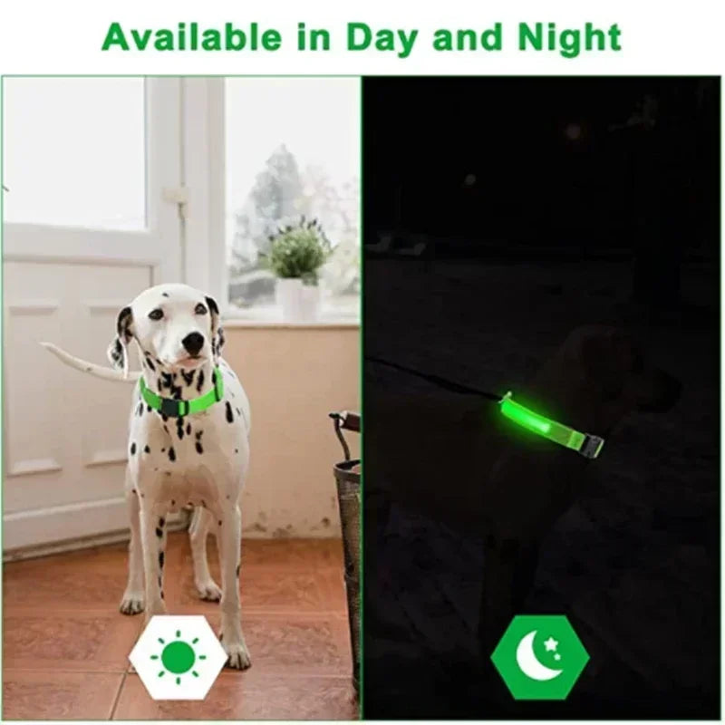 Glowing Safety Dog Collar
