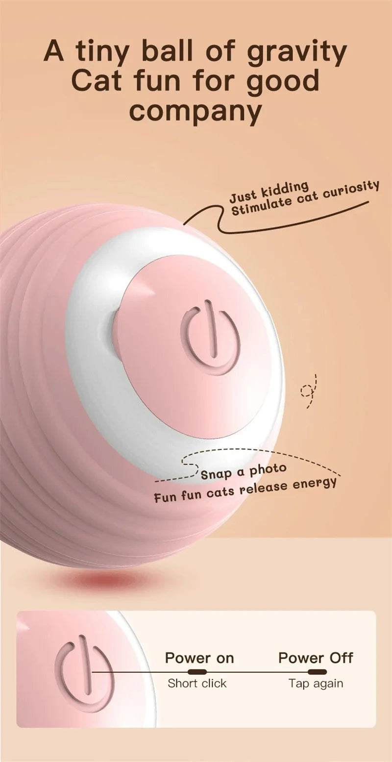 Interactive Ball Cat Toy