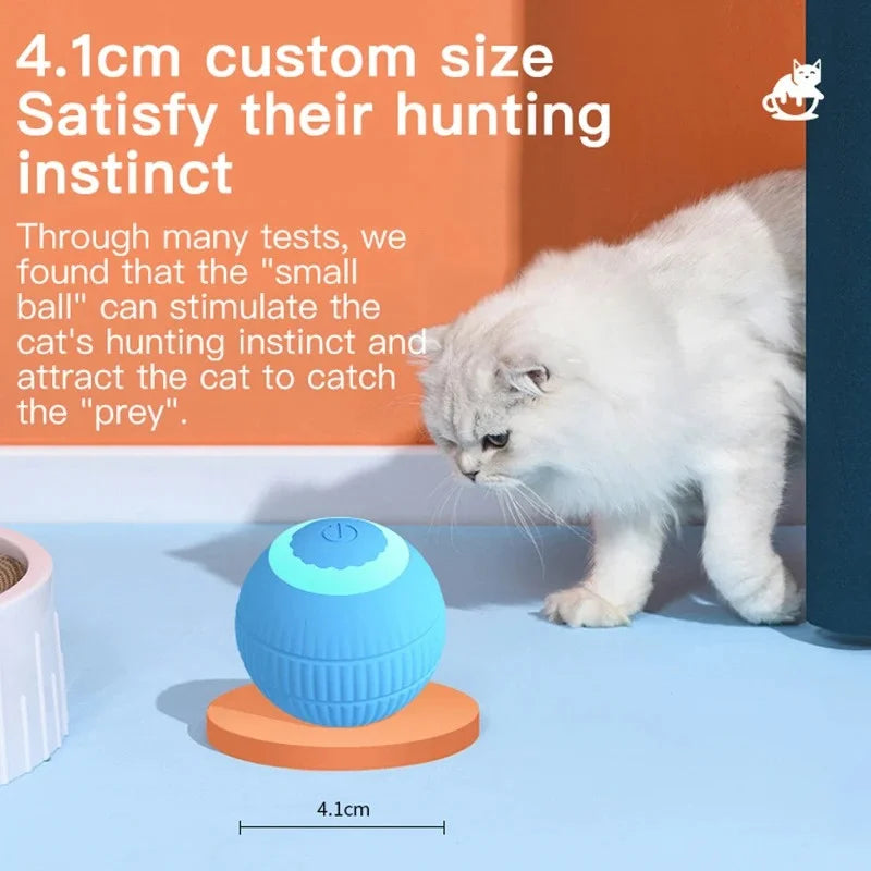 Interactive Ball Cat Toy