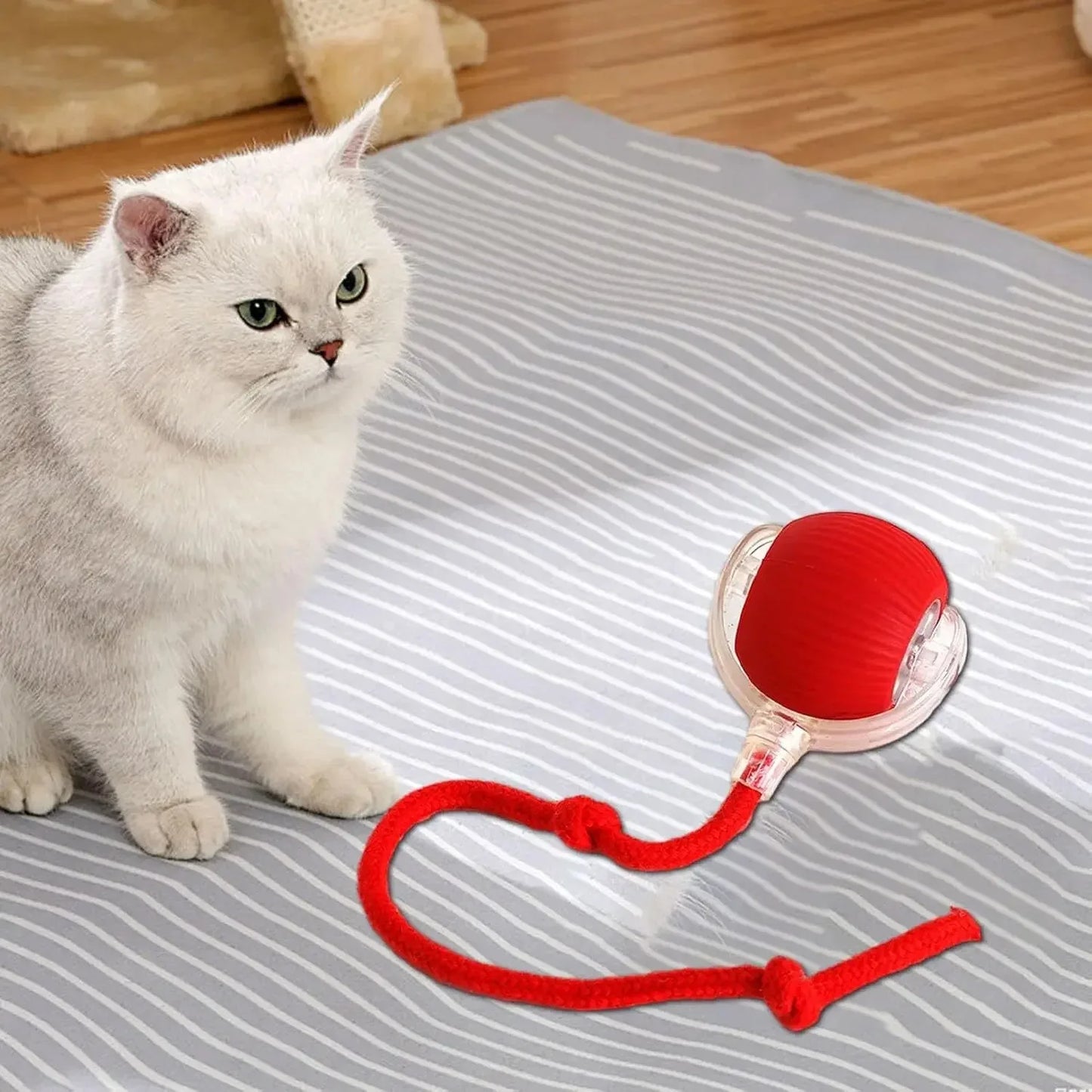 Rolling Ball Cat Toy
