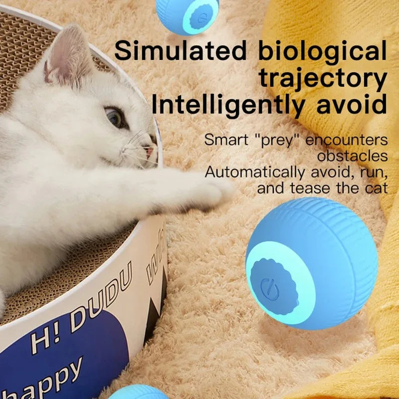Interactive Ball Cat Toy