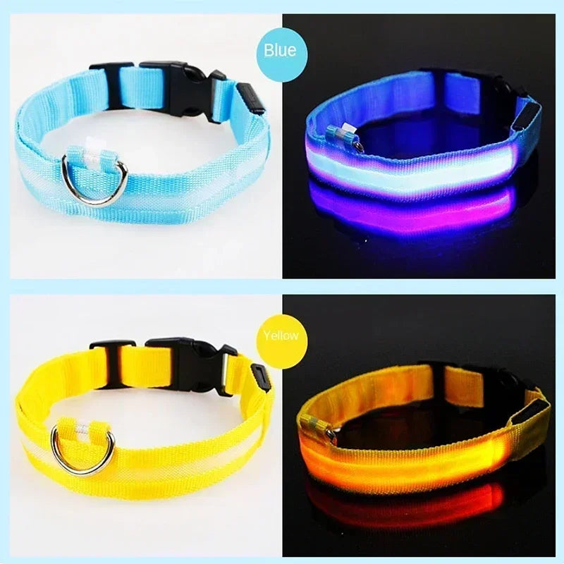 Glowing Safety Dog Collar