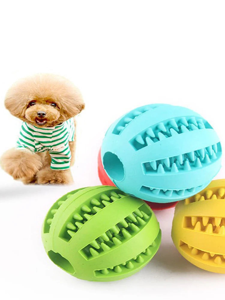 Durable Chew & Play Ball