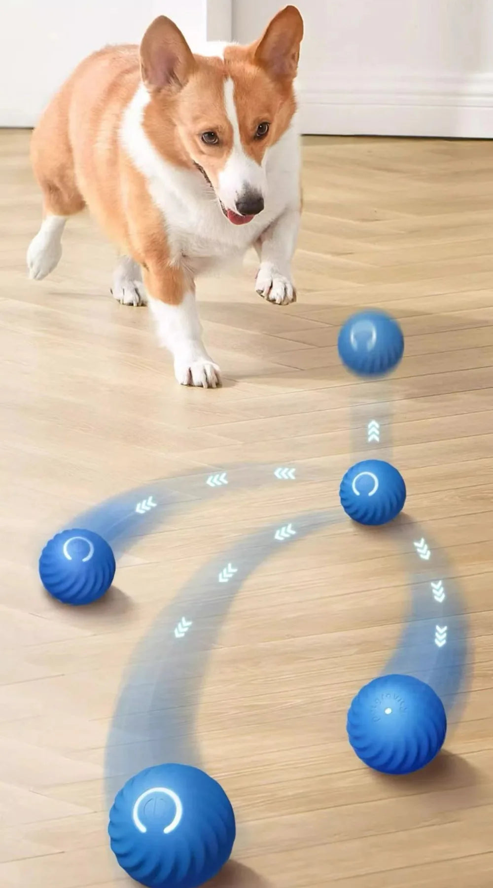 Smart Interactive Dog Toy