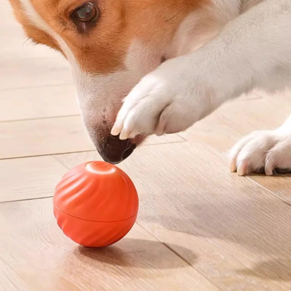 Smart Interactive Dog Toy