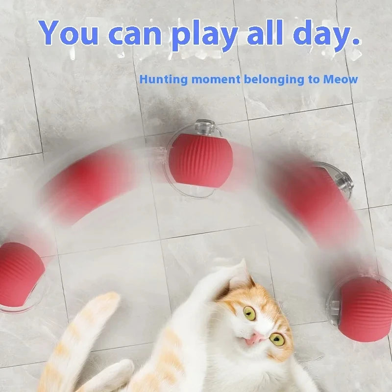 Rolling Ball Cat Toy