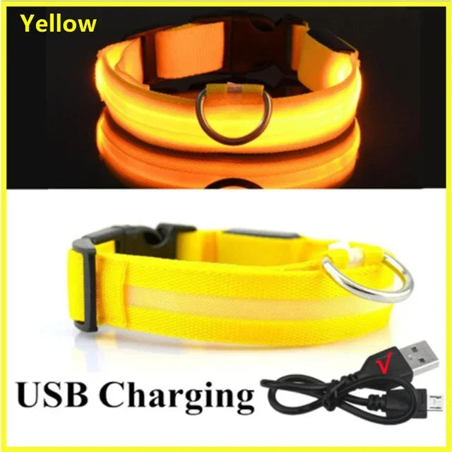 Glowing Safety Dog Collar
