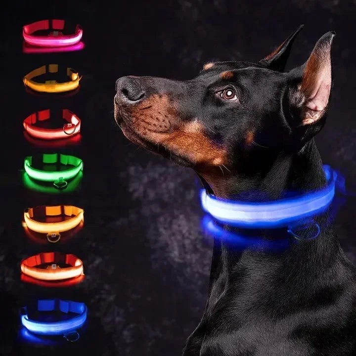 Glowing Safety Dog Collar