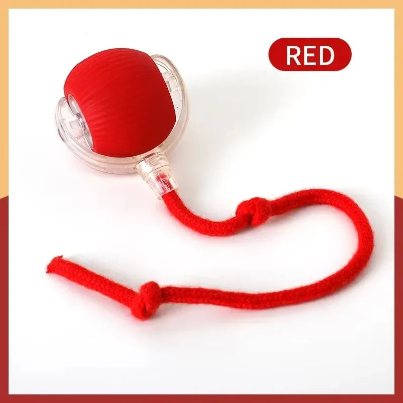 Rolling Ball Cat Toy