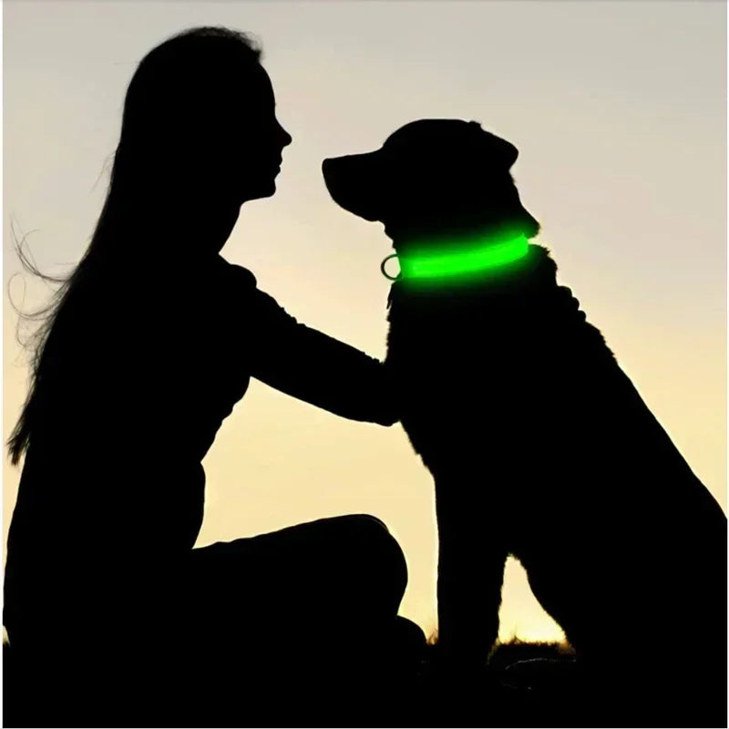 Glowing Safety Dog Collar