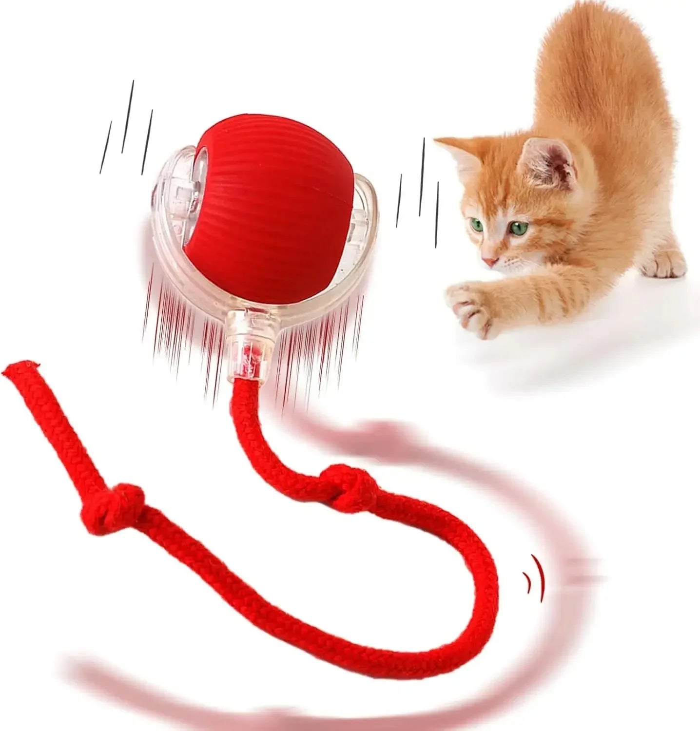 Rolling Ball Cat Toy