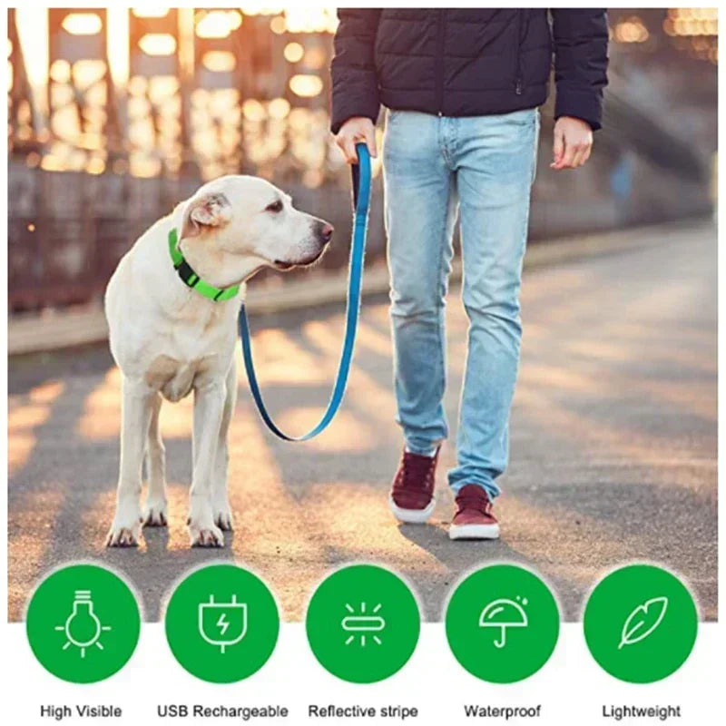 Glowing Safety Dog Collar