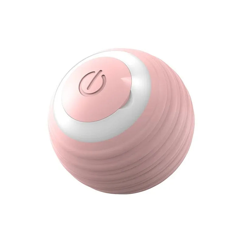 Interactive Ball Cat Toy