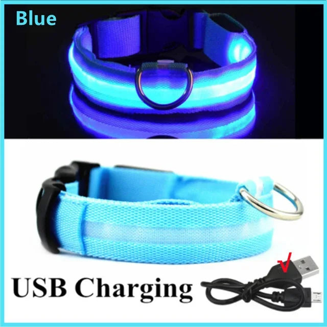 Glowing Safety Dog Collar