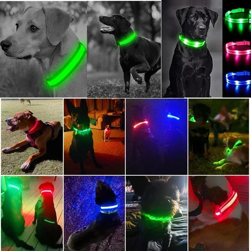 Glowing Safety Dog Collar