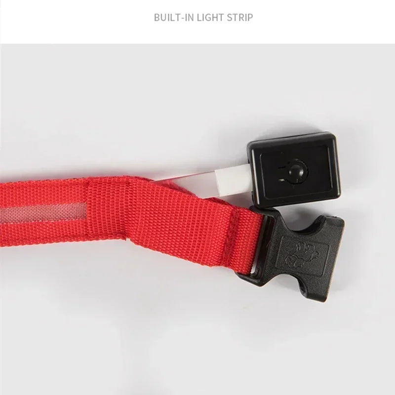Glowing Safety Dog Collar