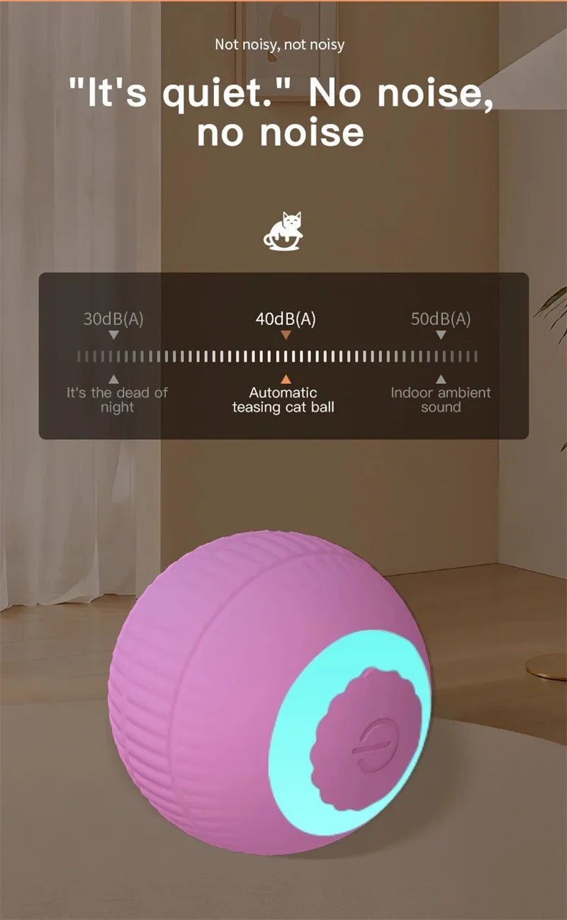 Interactive Ball Cat Toy