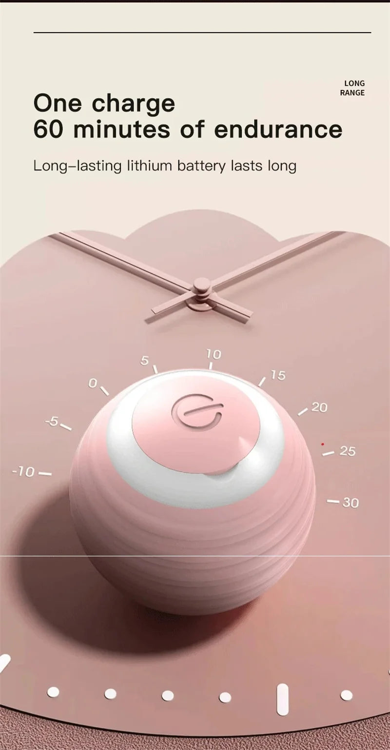 Interactive Ball Cat Toy