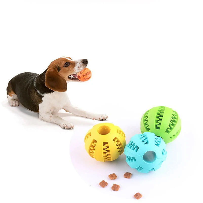 Durable Chew & Play Ball