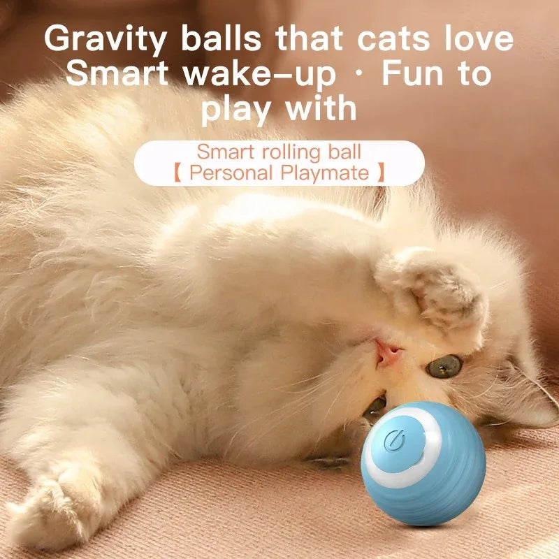 Interactive Ball Cat Toy